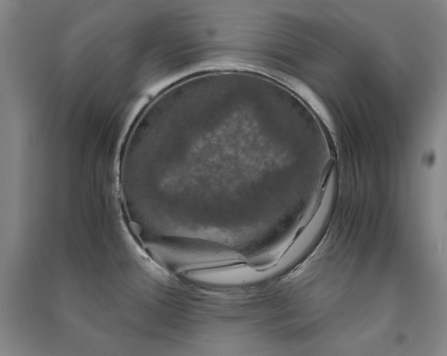 X0000091341388200708171402