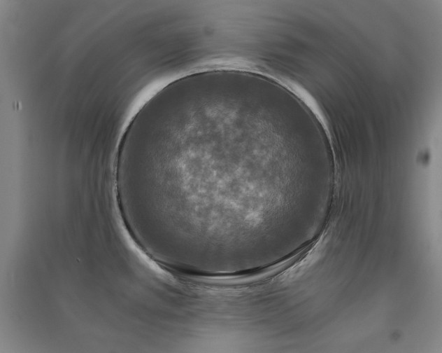 X0000091341389200708171402