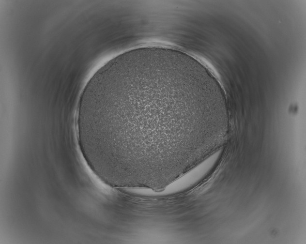 X0000091341391200708171402