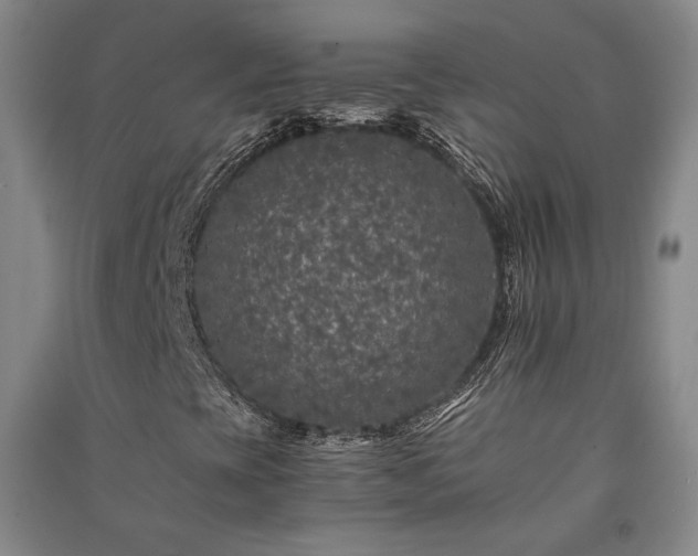 X0000091341393200708171401