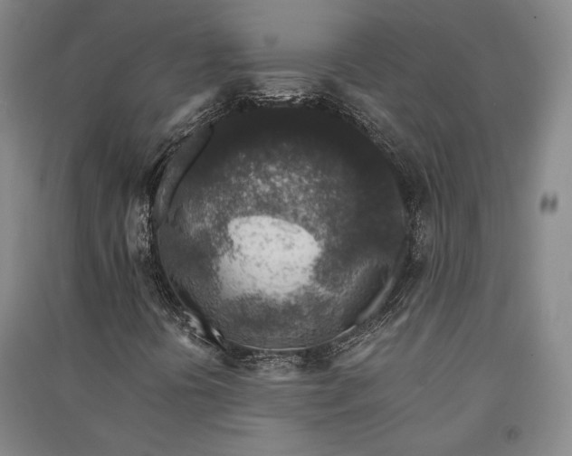 X0000091341394200708171401