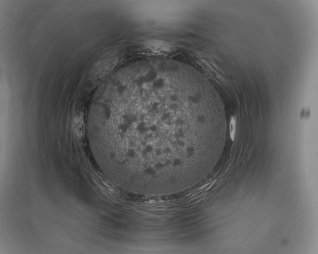 X0000091341395200708171402