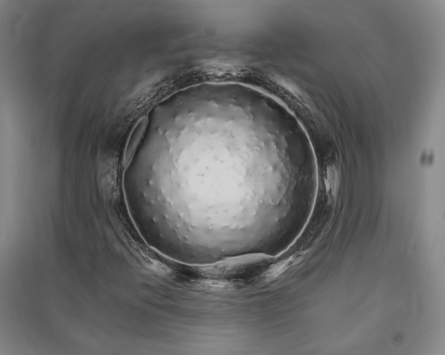 X0000091341396200708171402