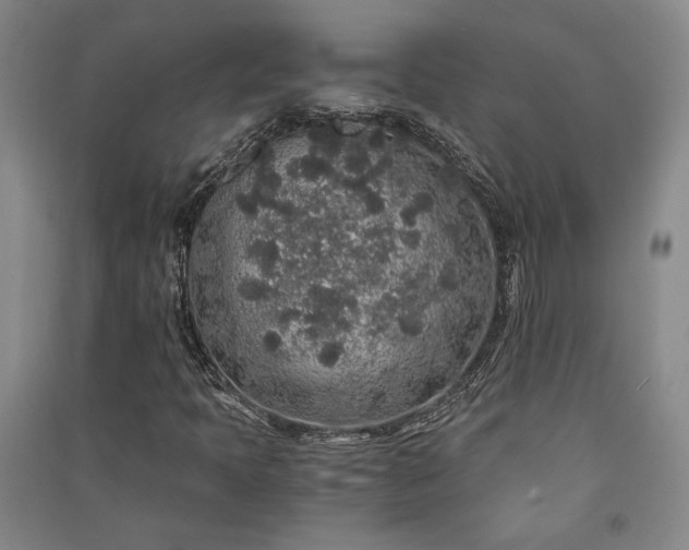 X0000091341397200708171402