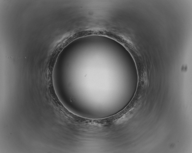 X0000091341398200708171402