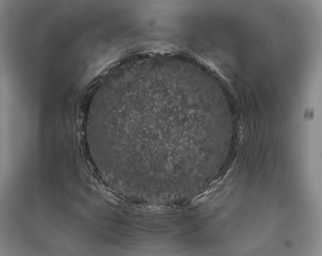 X0000091341399200708171402