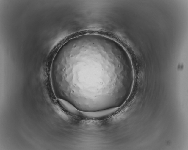 X0000091341400200708171402