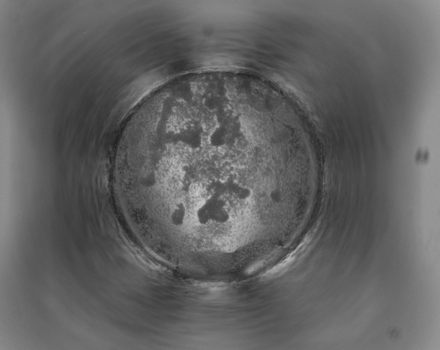 X0000091341401200708171402