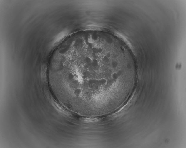 X0000091341403200708171402