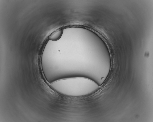 X0000091341404200708171402