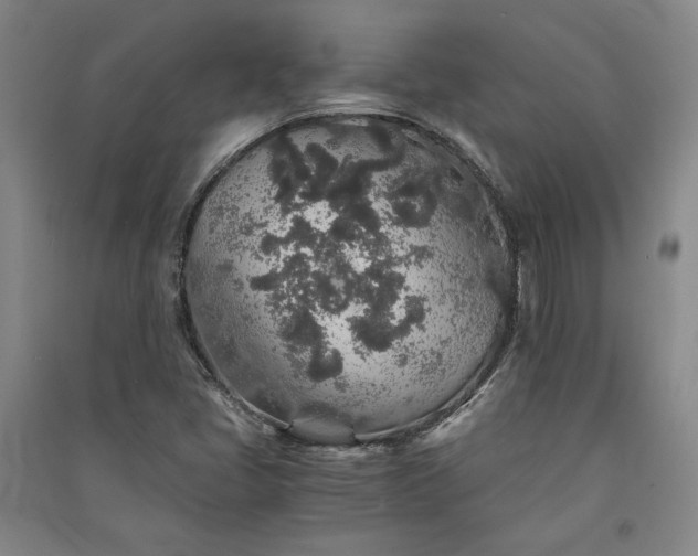 X0000091341405200708171402