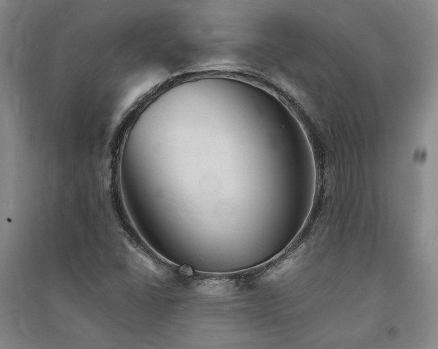 X0000091341406200708171402