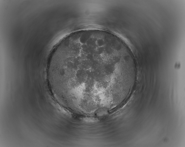 X0000091341407200708171402