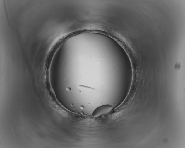 X0000091341408200708171402