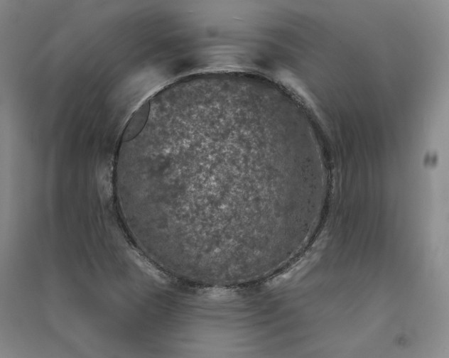 X0000091341409200708171402