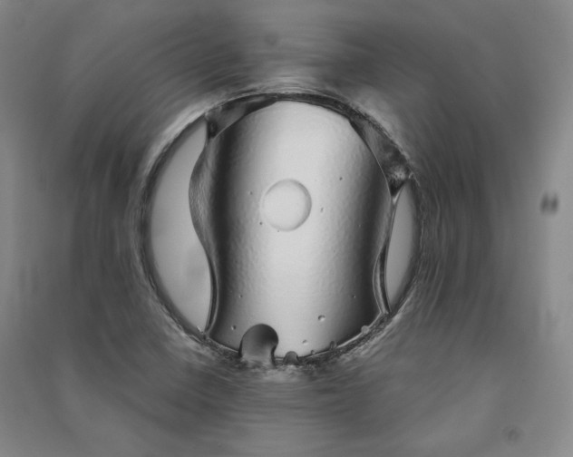 X0000091341410200708171402