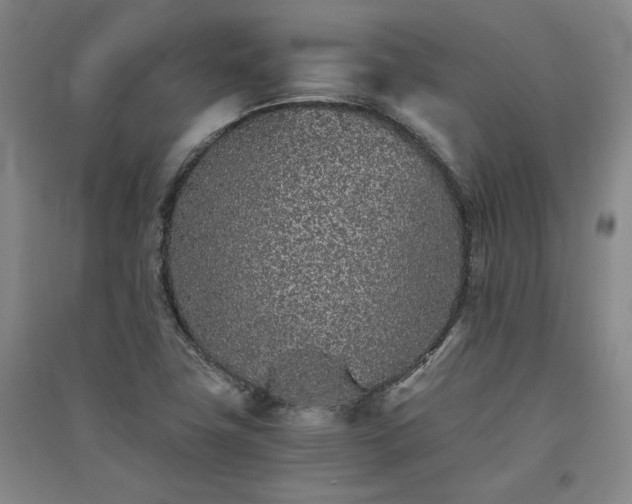 X0000091341411200708171402