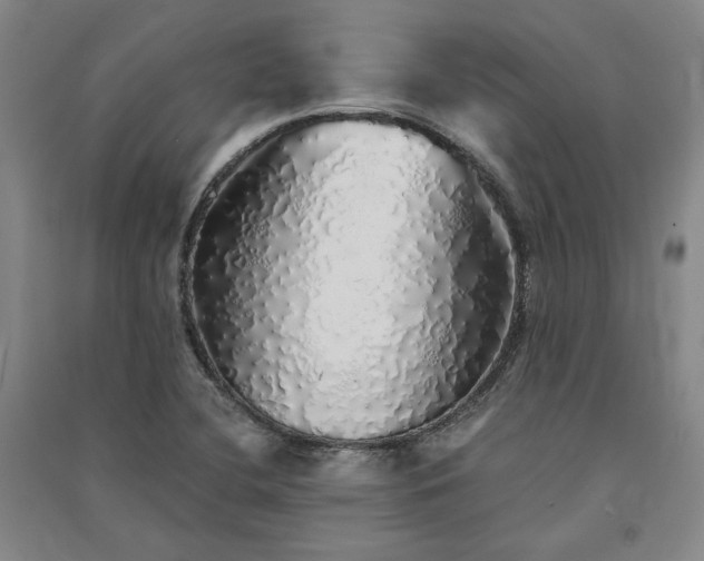 X0000091341412200708171402