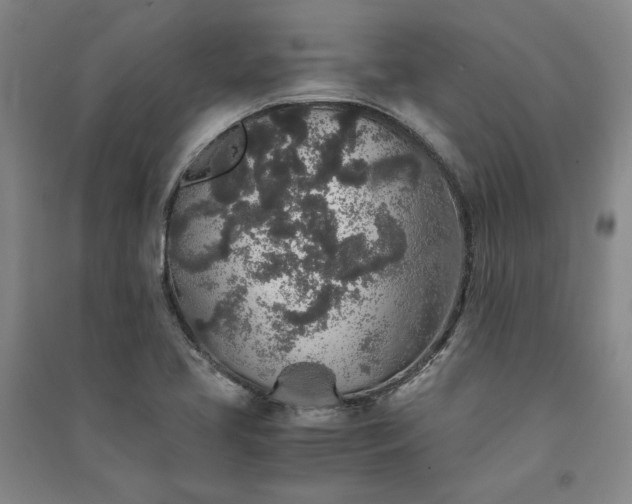 X0000091341413200708171402