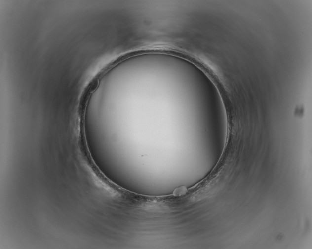 X0000091341414200708171402