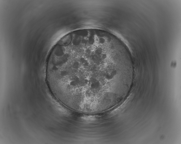 X0000091341415200708171402