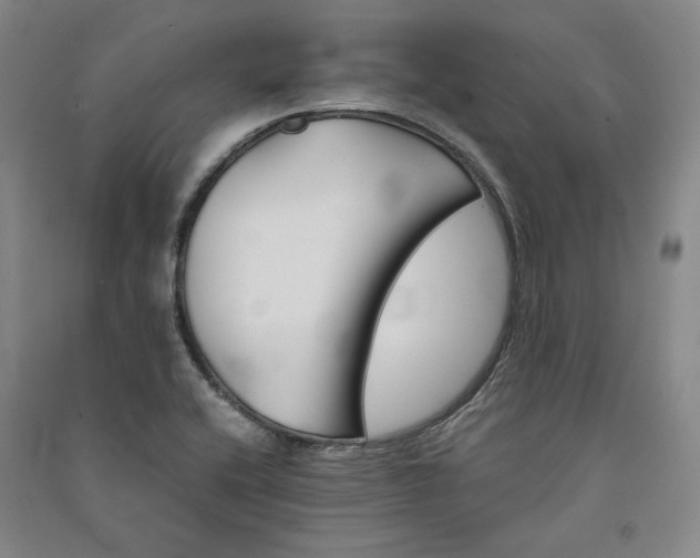 X0000091341416200708171402