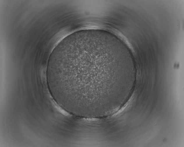 X0000091341417200708171402