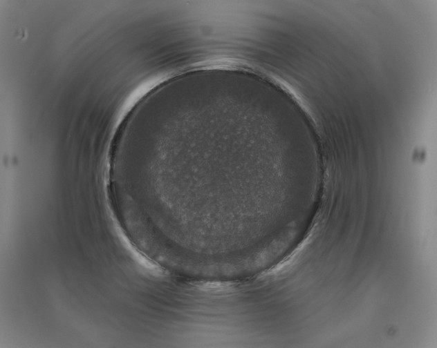 X0000091341418200708171402