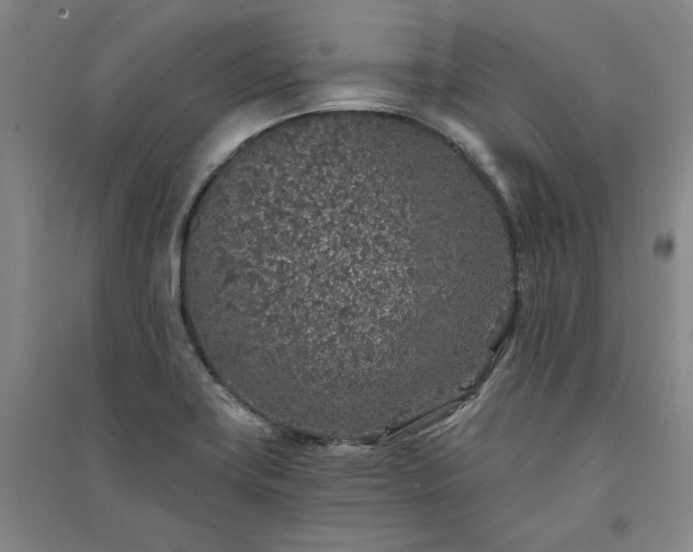 X0000091341419200708171402