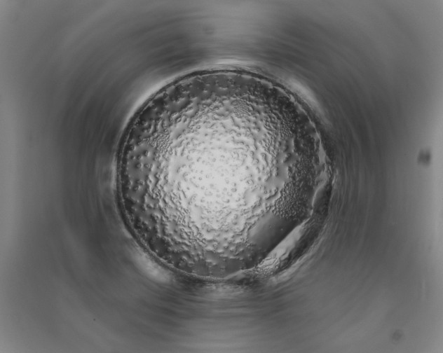 X0000091341420200708171402