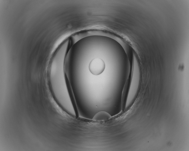 X0000091341422200708171402