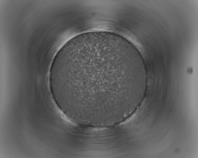 X0000091341423200708171402