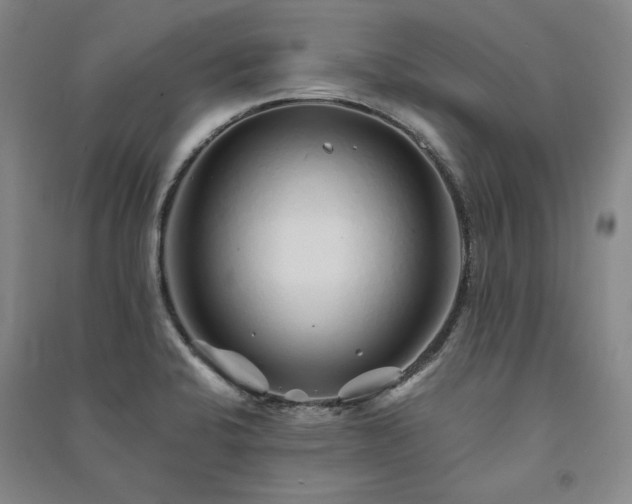 X0000091341424200708171402