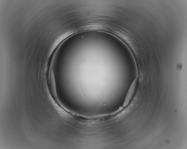 X0000091341426200708171402