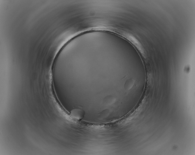 X0000091341428200708171402