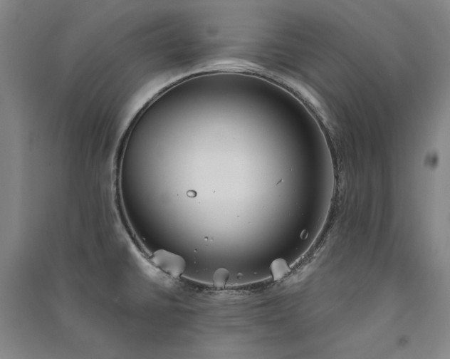 X0000091341430200708171402