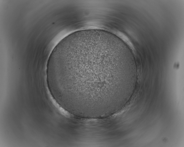 X0000091341431200708171402