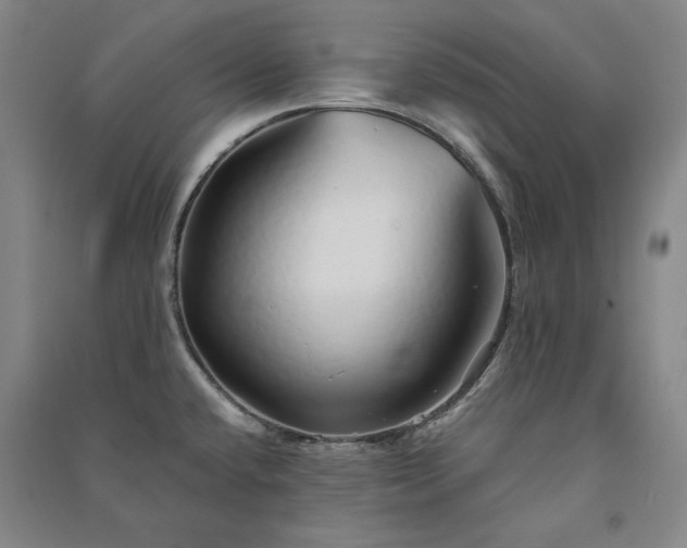 X0000091341432200708171402