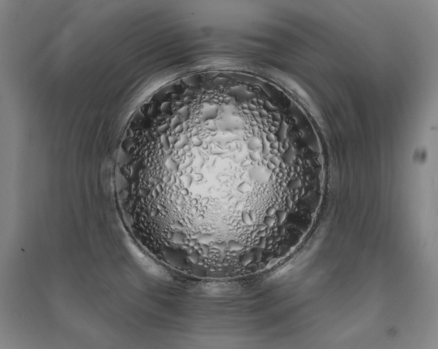 X0000091341433200708171402