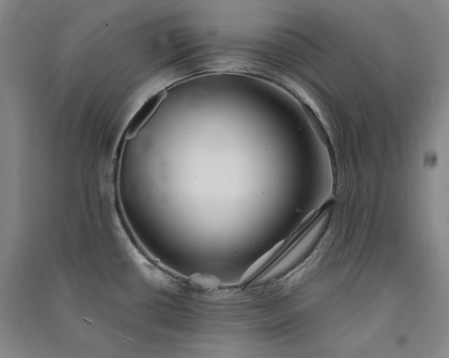 X0000091341434200708171402