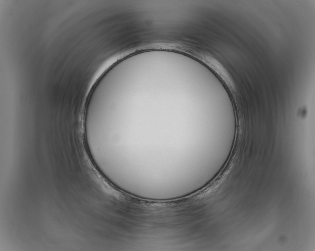 X0000091341436200708171402