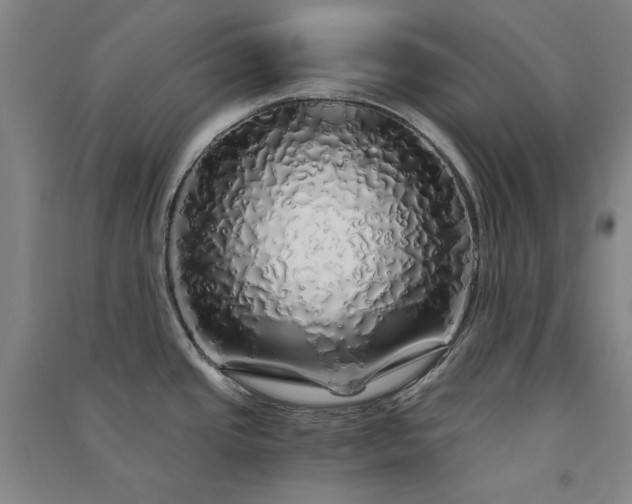 X0000091341437200708171402