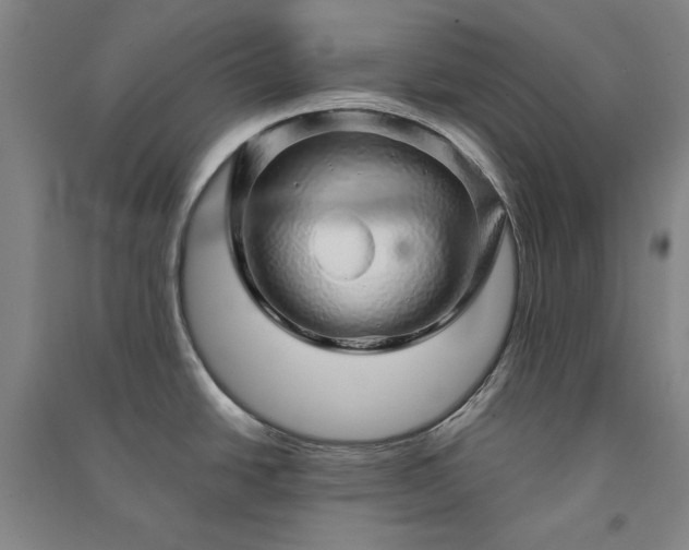 X0000091341438200708171402