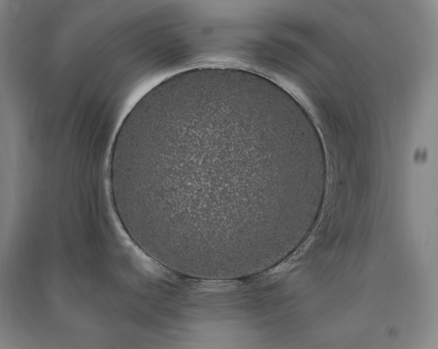 X0000091341440200708171402