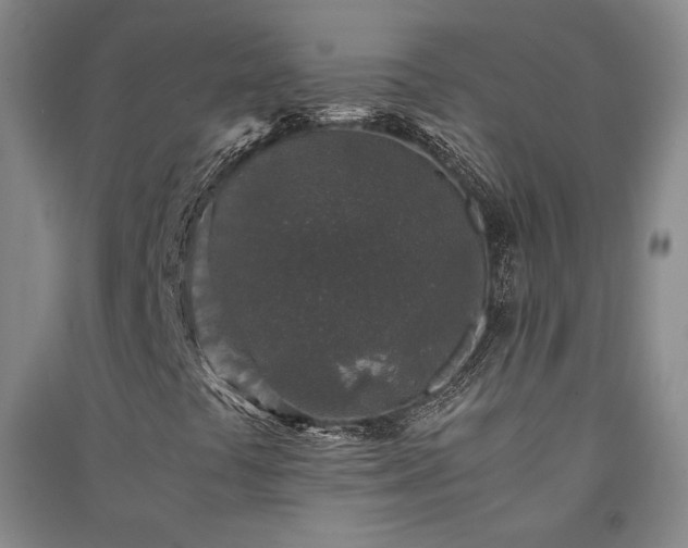 X0000091341441200708171401