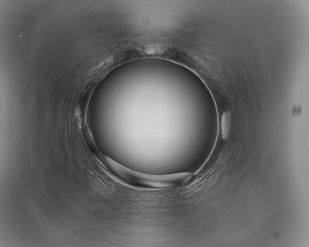 X0000091341443200708171401