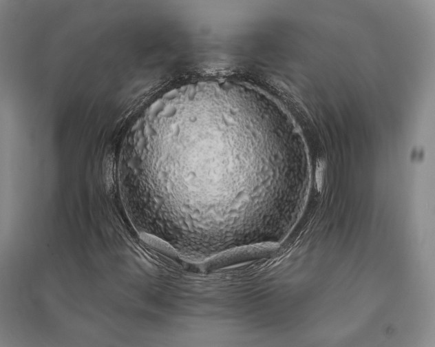 X0000091341444200708171401