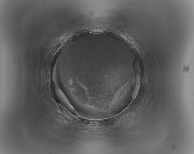 X0000091341445200708171401