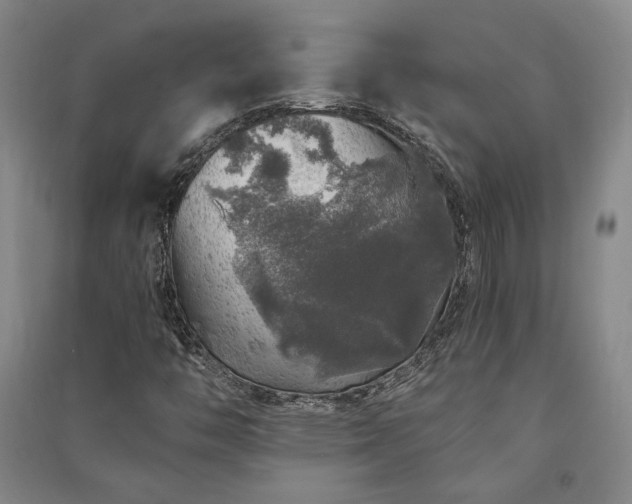 X0000091341446200708171401
