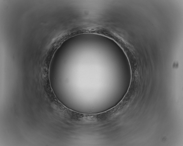 X0000091341447200708171401